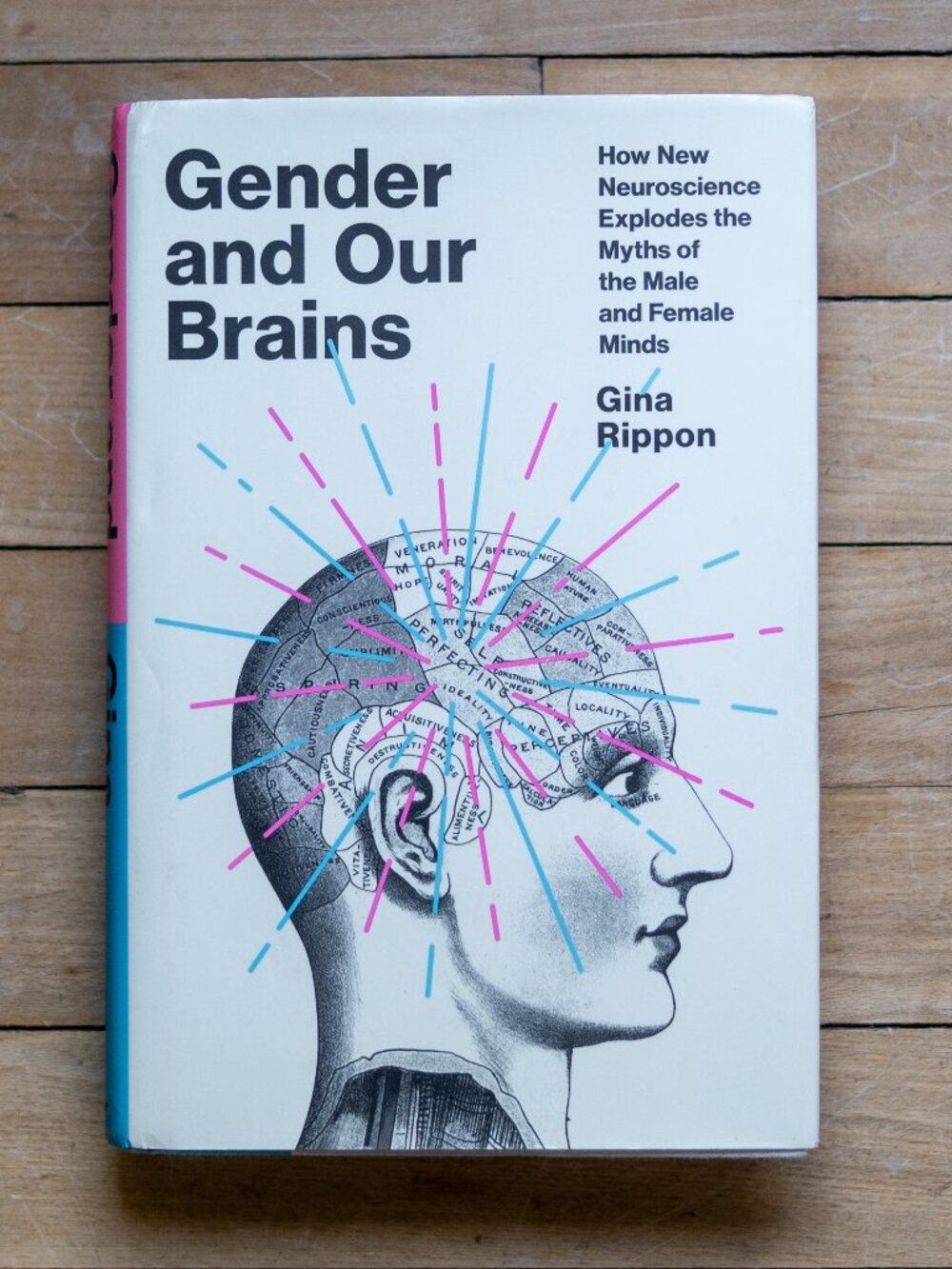 Gender and Our Brains (Hardcover Book)